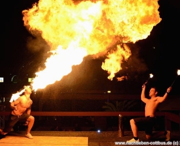 Feuerspucker aus Berlin Feuerspucker zum Geburtstag